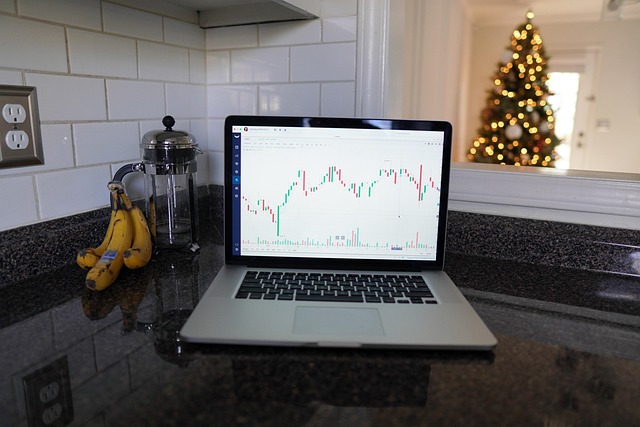 professional analyst reviewing stock charts on laptop in office New York